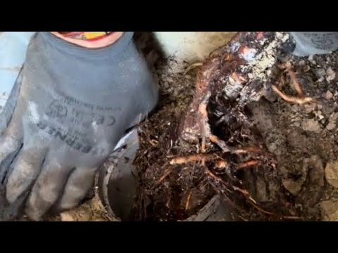 Problemas Comunes en Tuberías Exteriores